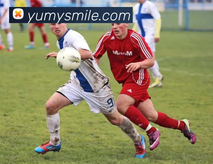 米乐m6服务体系